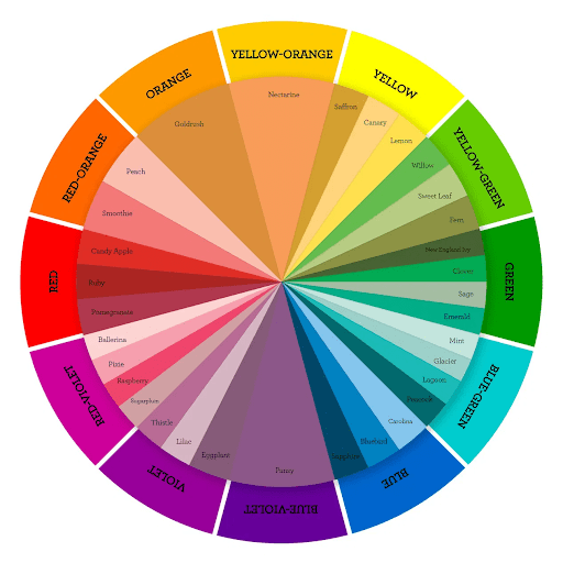 Yellow and purple are opposite colors on the color wheel.