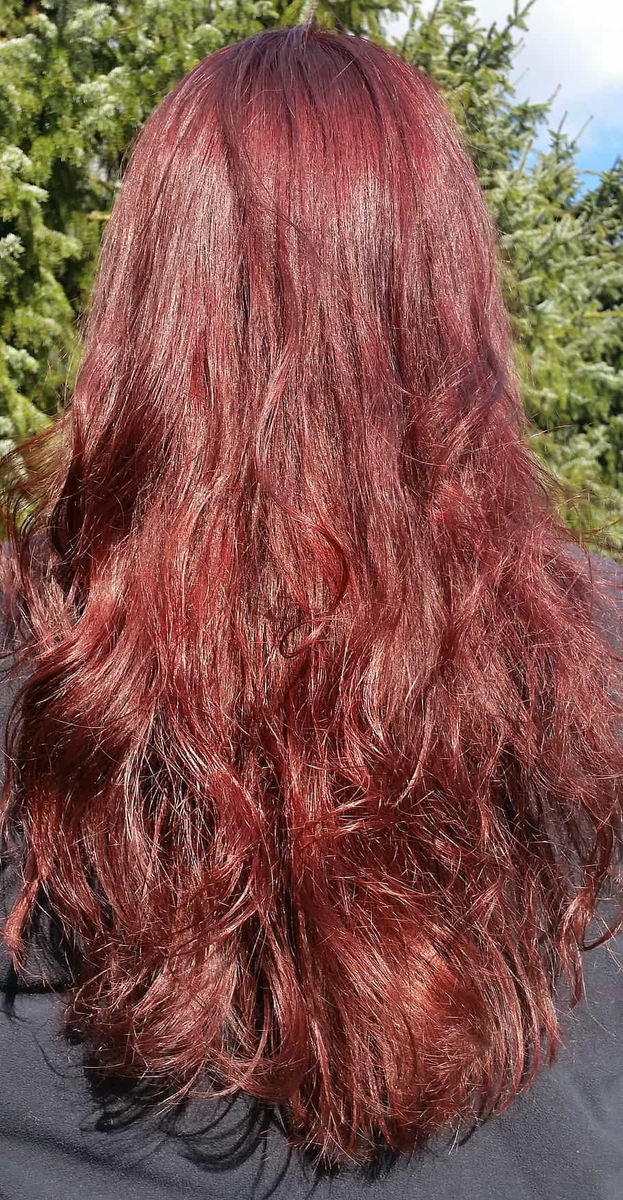 Dark Red Hair Before Washing With Purple Shampoo.